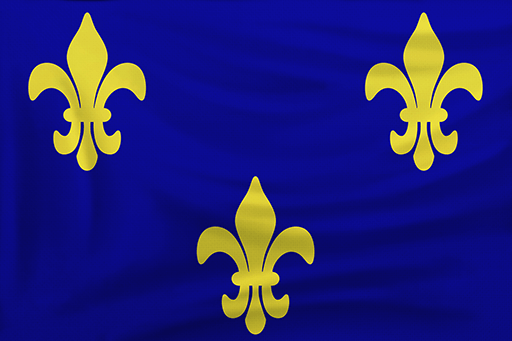 Flag of French in Age of Empires III: Definitive Edition